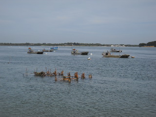 bateau a fond plat